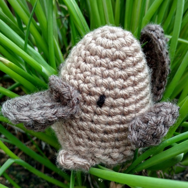 Platypus Egg Cozy