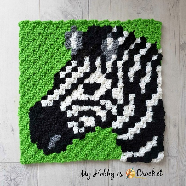 Zebra C2C Square