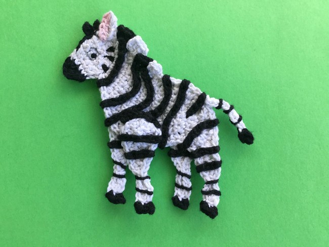 Zebra