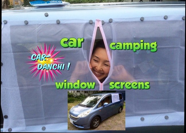 Car Camping Screen 