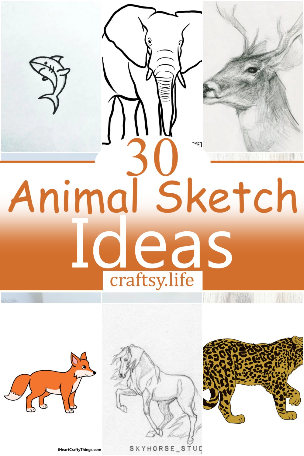 30 Animal Sketch Ideas