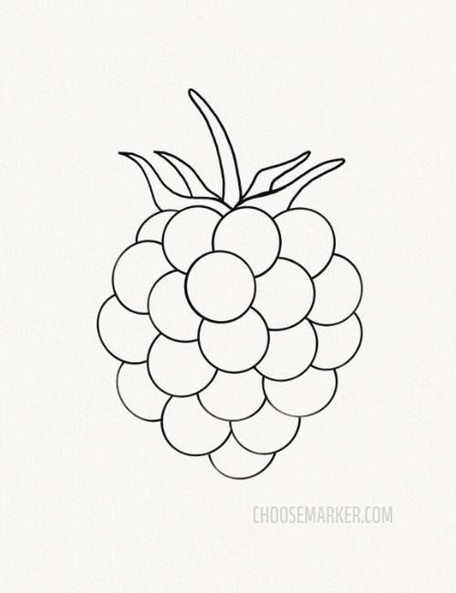 Easy Drawing Blackberry