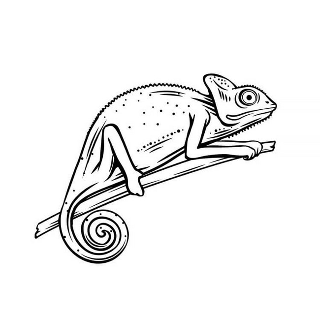 Chameleon Outline Drawing