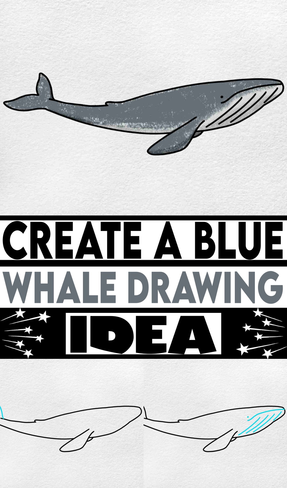 Create A Blue Whale Drawing