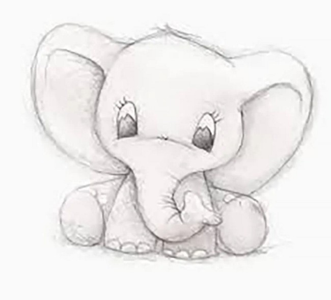 Cute Elephant