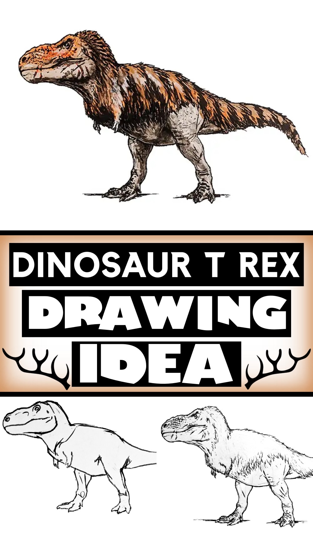 Dinosaur Drawings T Rex