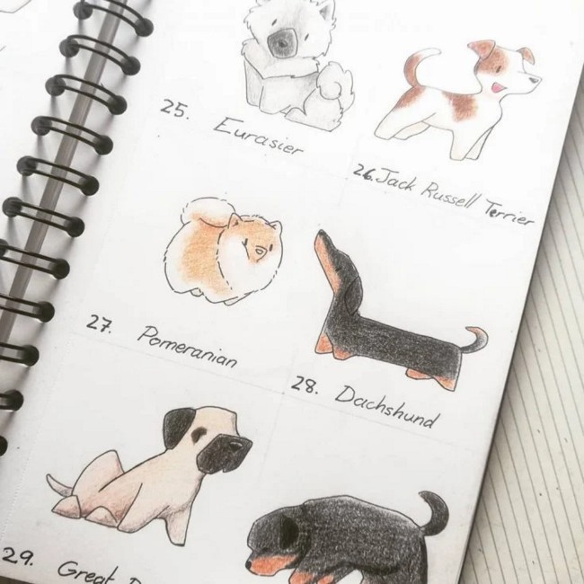 Dog Breeds