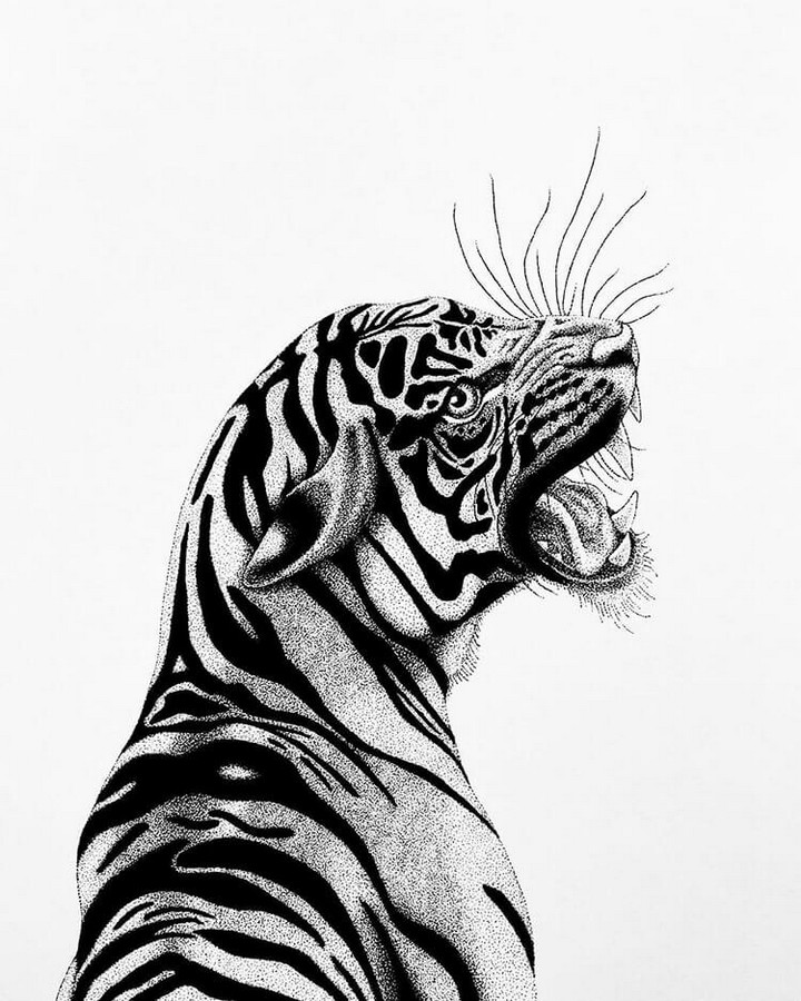 Dotwork Tiger Drawing