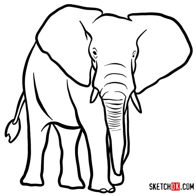 Draw An Elephant Front View