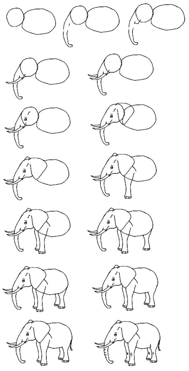 Draw and Elephant