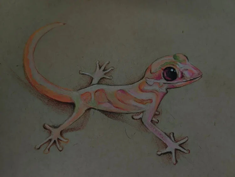 Fun Lizard Drawing