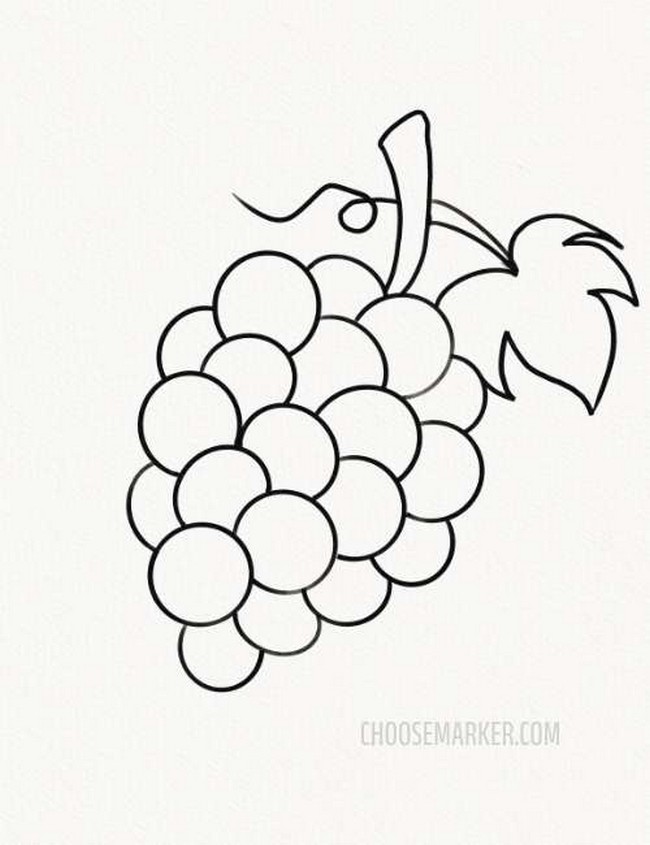 Drawing Grape