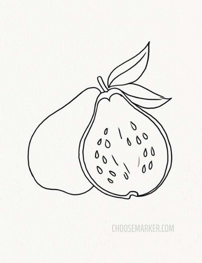 Drawing Guava