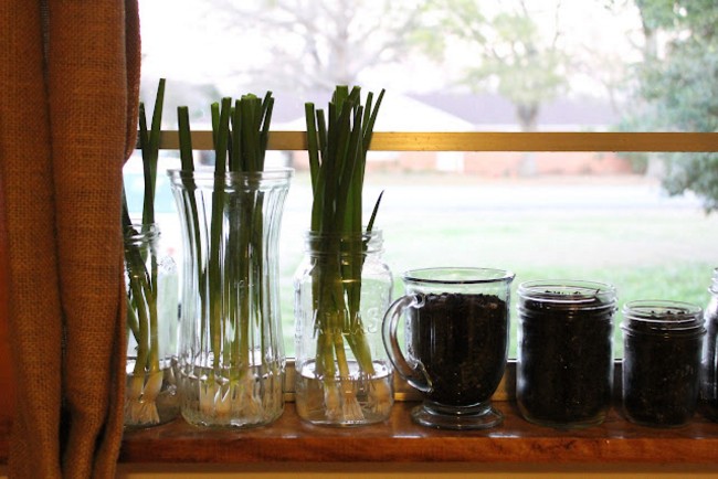 Herb Garden For Kitchen Window