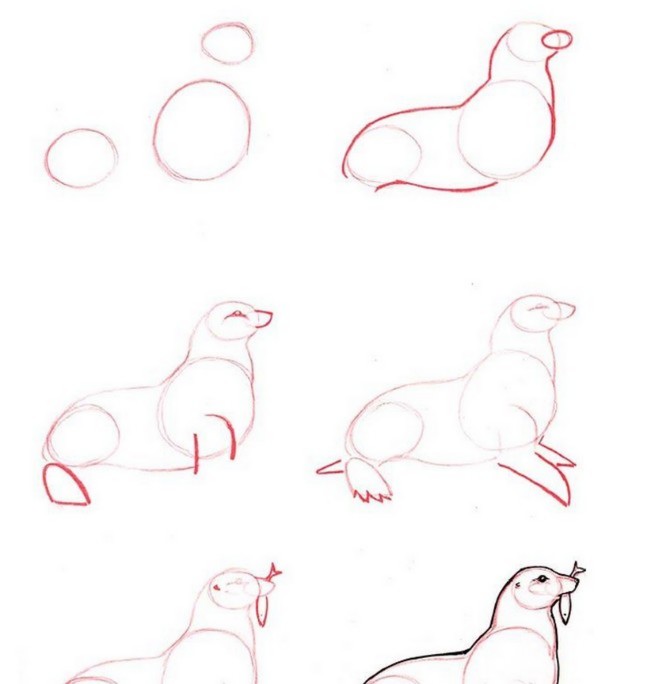 How To Draw A Seal