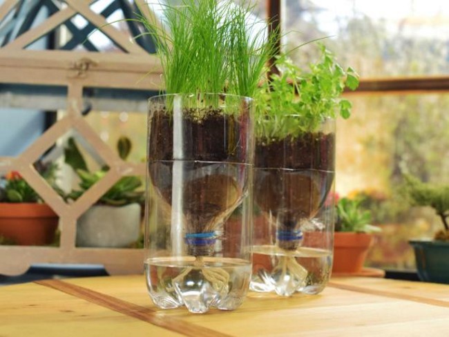 Indoor Self-watering Herb Garden