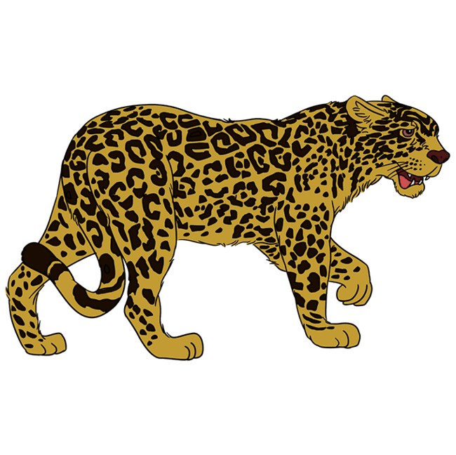 Jaguar Animal Drawing Easy Plan