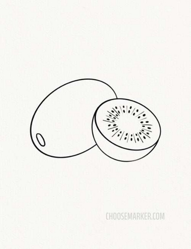 Kiwi Drawing