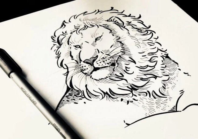 Lion Drawing