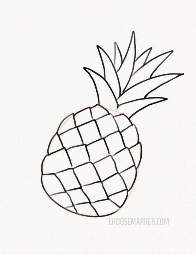 Pineapple Drawing