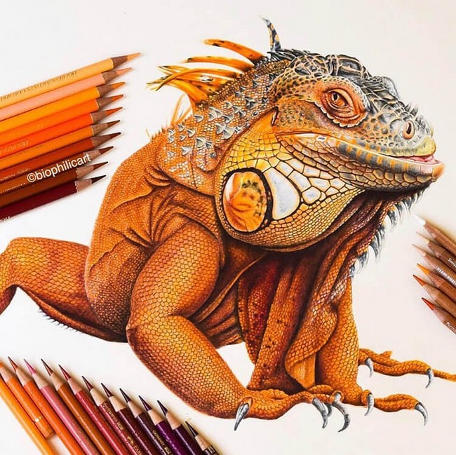 Realistic Orange Iguana