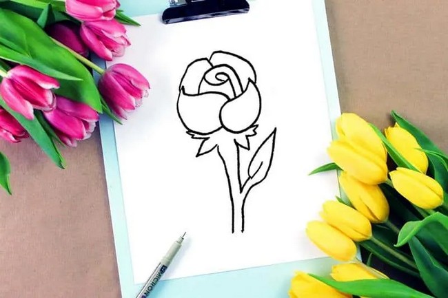 Rose Drawing For Beginners