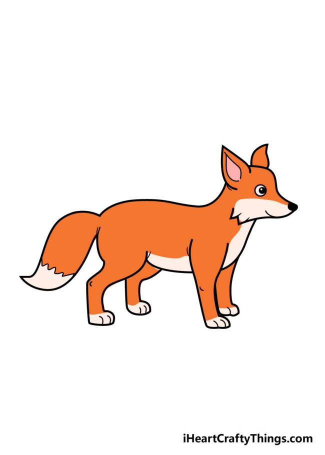 Step By Step Guide To Draw Fox