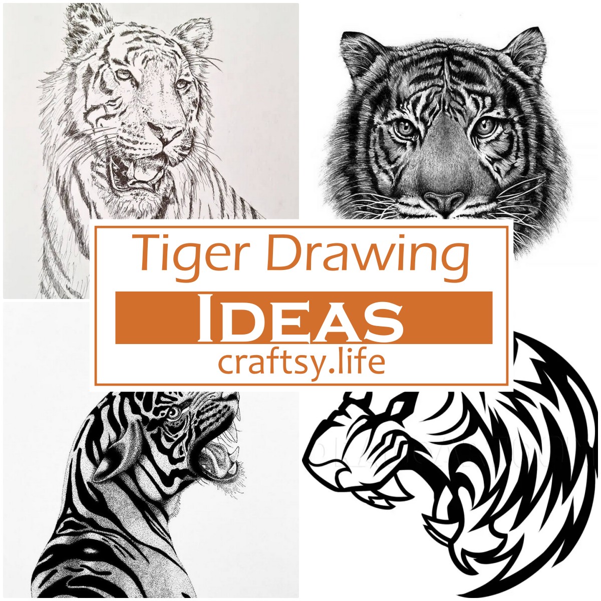 Tiger Drawing Ideas 1