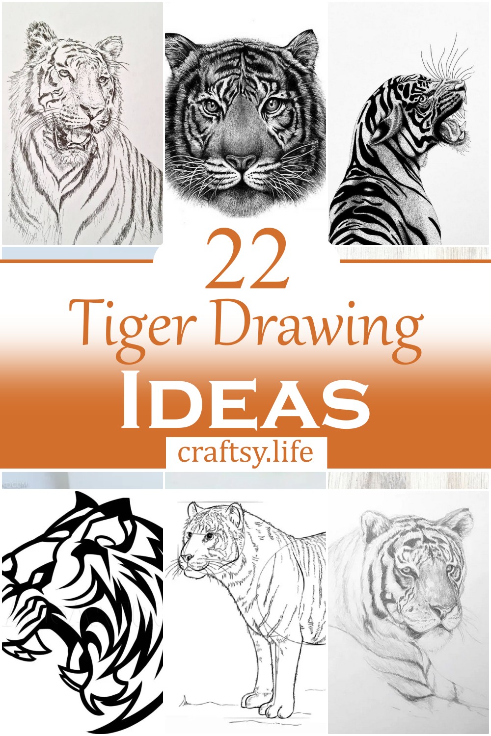 Tiger Drawing Ideas
