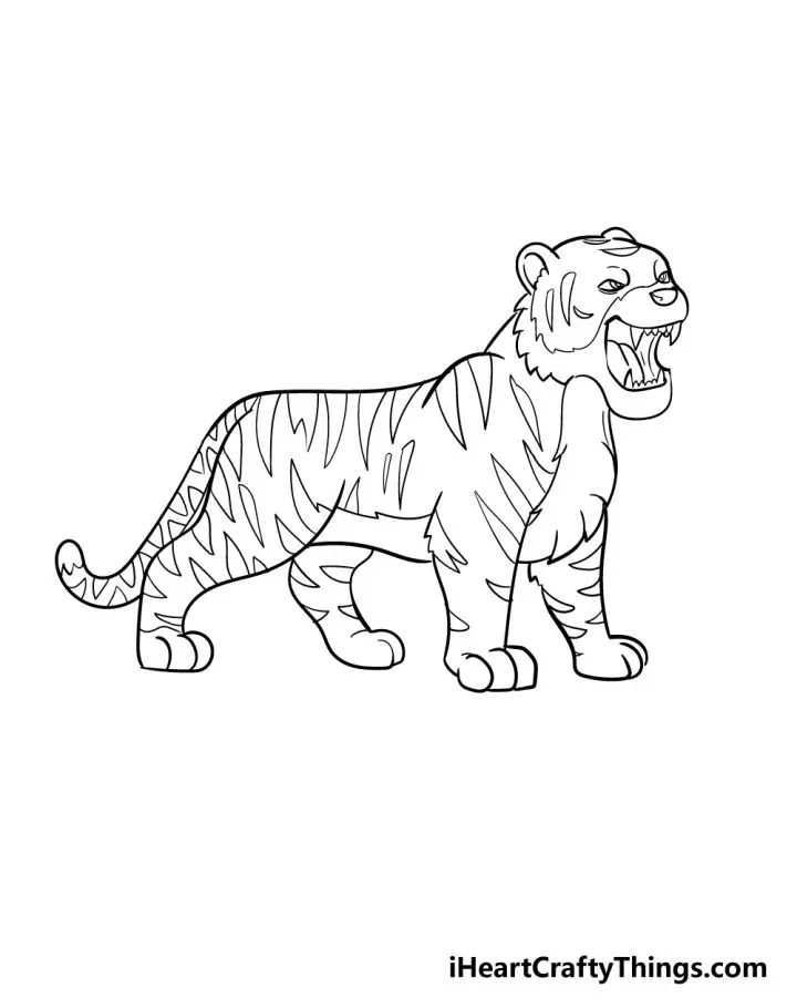 Tiger Drawing In Just 8 Easy Steps