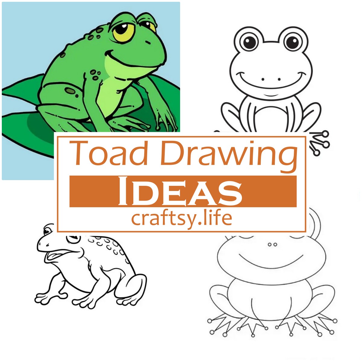 Toad Drawing Ideas 1