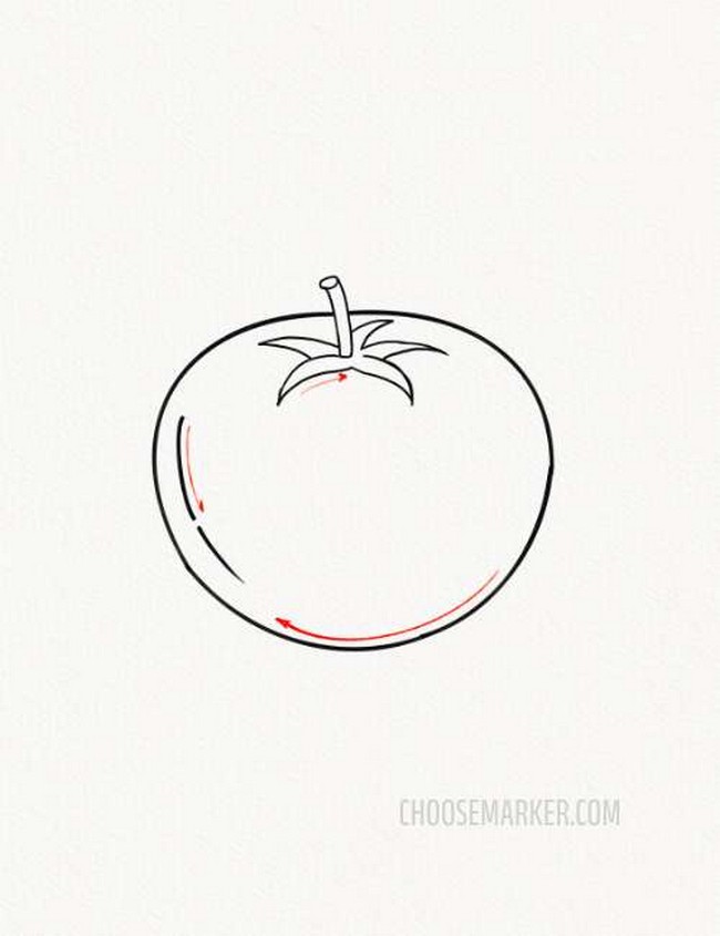 Tomato Drawing