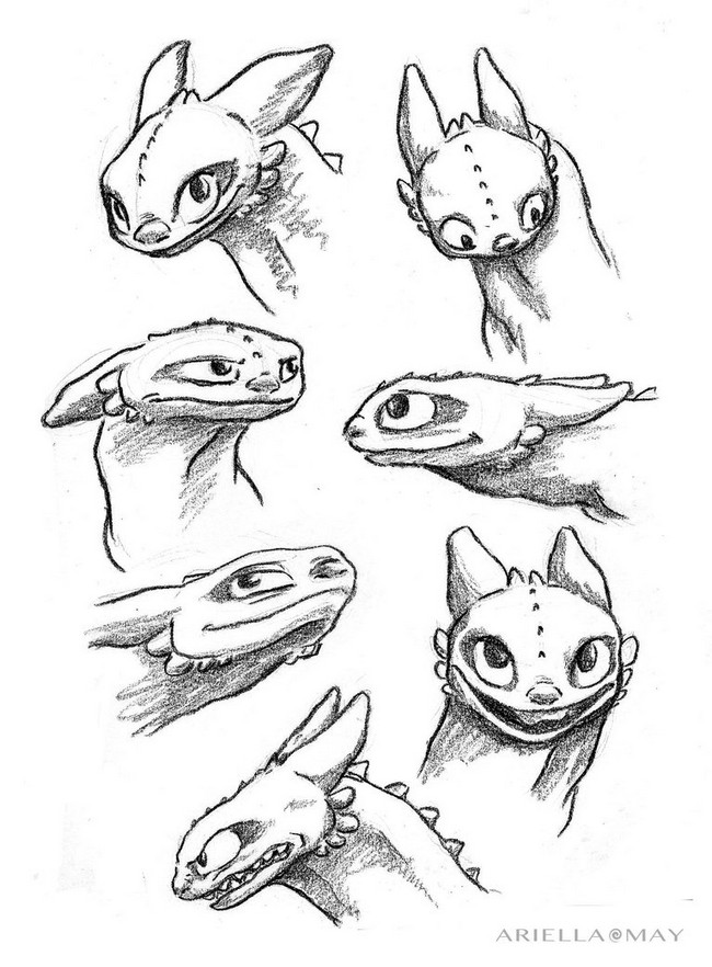 Toothless Drawing Images