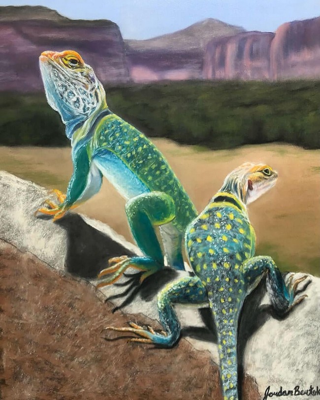 Two Collared Lizards