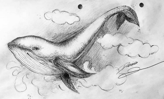 Whale in the Clouds