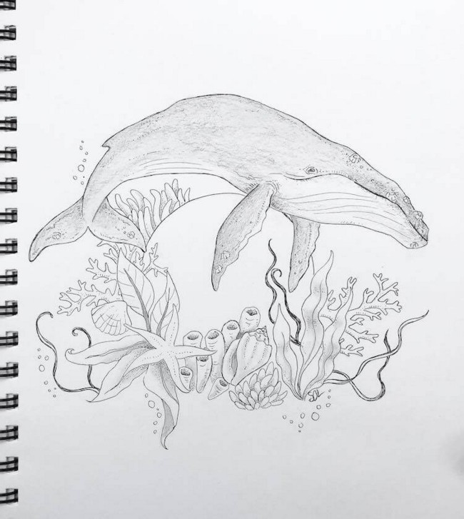 Whale with Seaweed