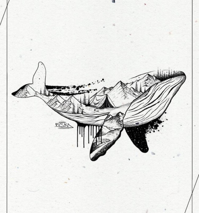 Wilderness shark sketch