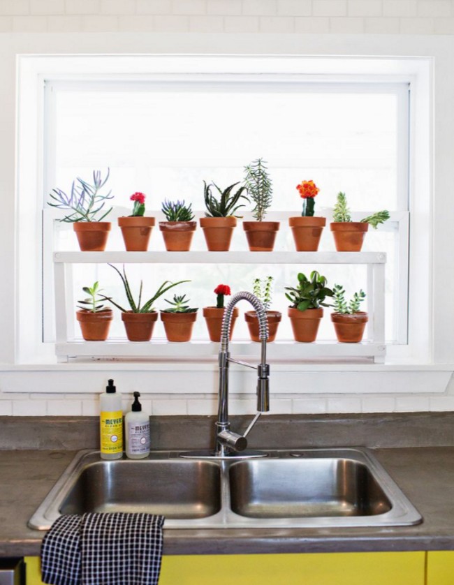 Window Ledge Plant Shelf