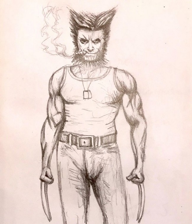 Wolverine Drawing