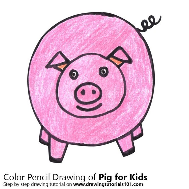 Drawing Tutorial Of Pig