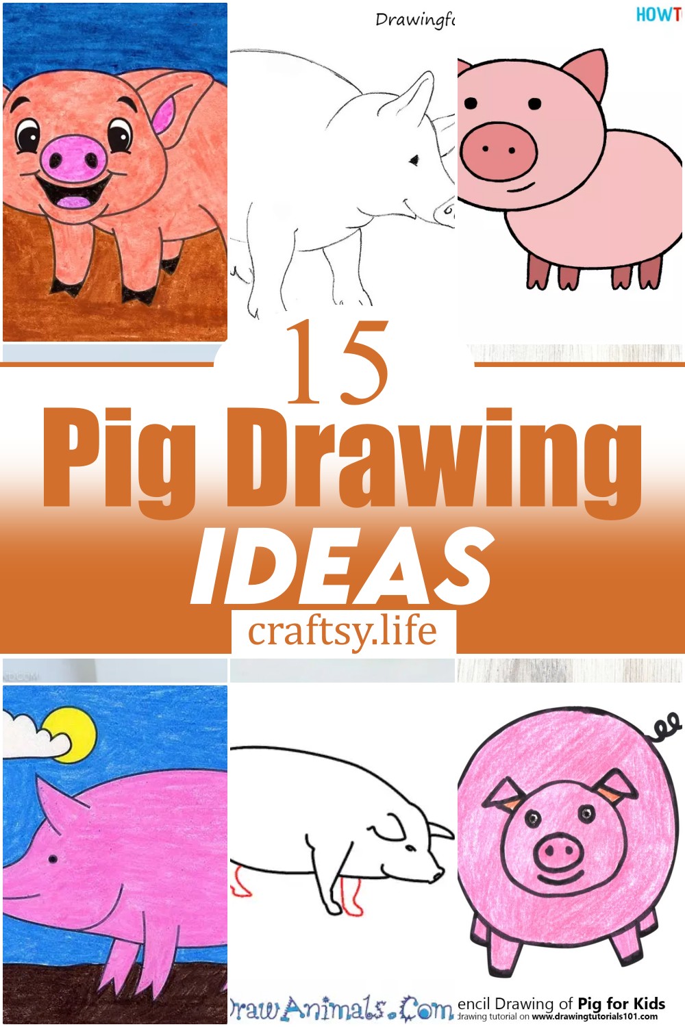 15 Pig Drawing Ideas