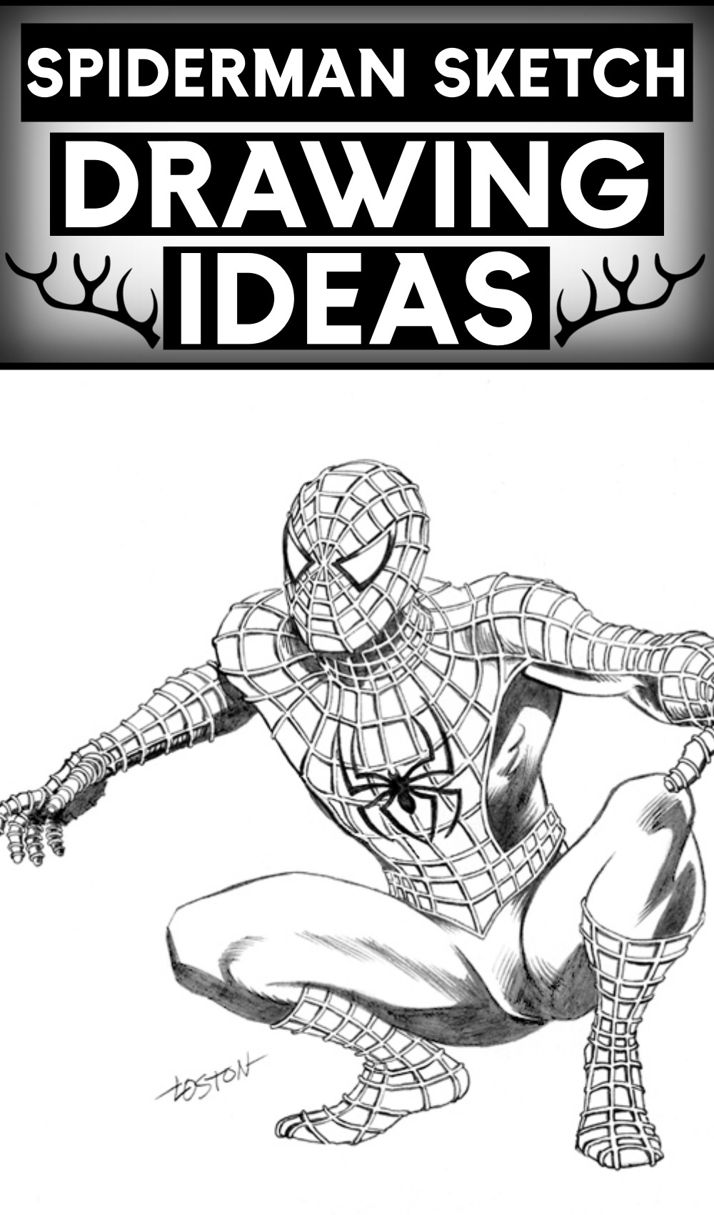 Spiderman Sketch