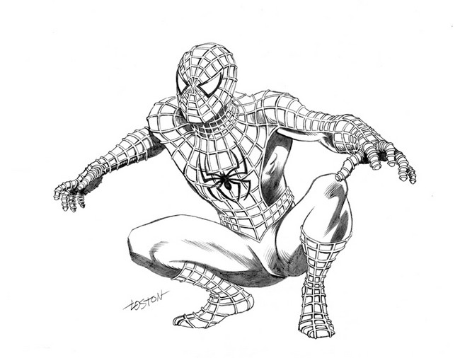 Spiderman Sketch