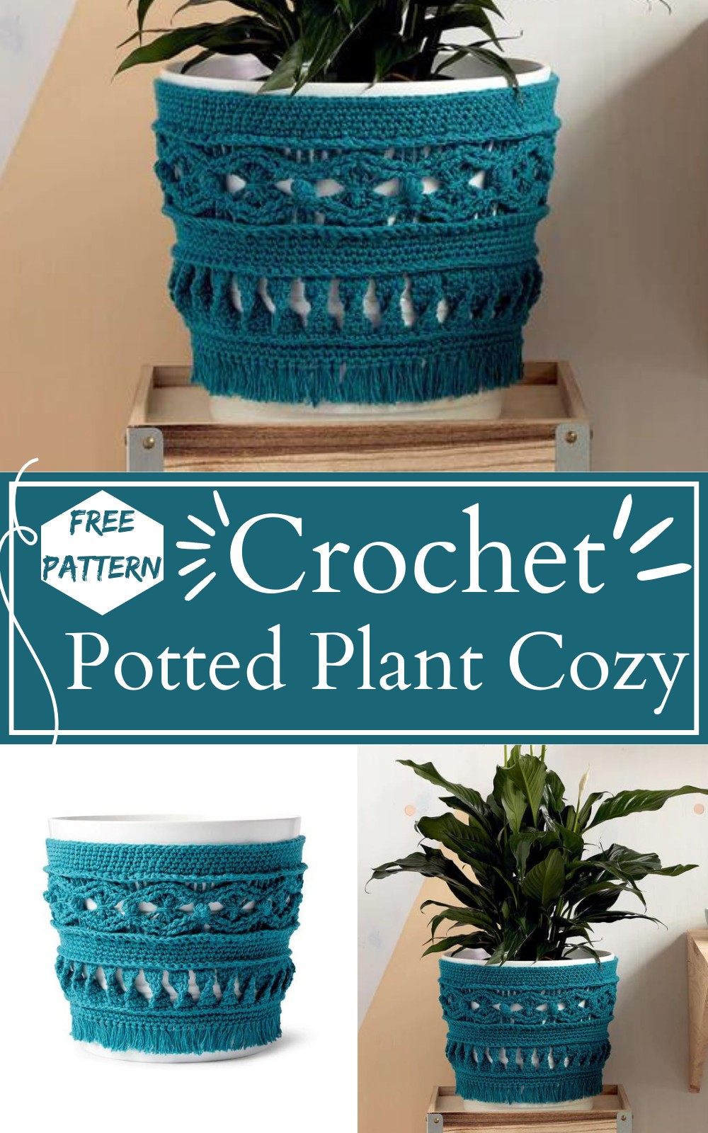 Large Potted Plant Crochet Cozy