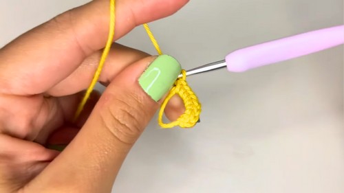 Crochet Minecraft Amigurumi Bee Pattern 1