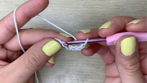 Super Easy Crochet Bath Sponge Pattern 1