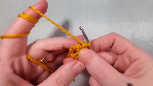 Crochet Amigurumi Honey Bear Pattern 1