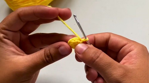 Crochet Bee Amigurumi Pattern 1