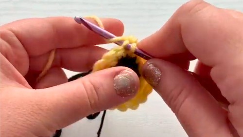 Crochet Bee Amigurumi Pattern 2