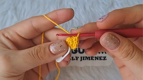 Crochet Bird Keychain Pattern 3